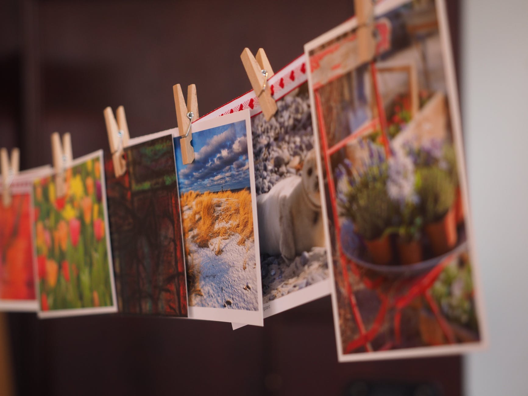 visual therapy through observing images,