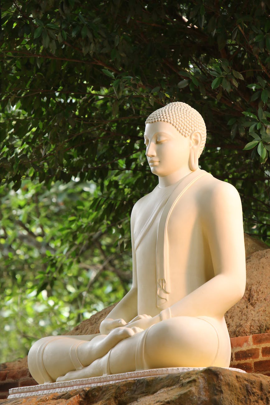 close up photo white buddha statue