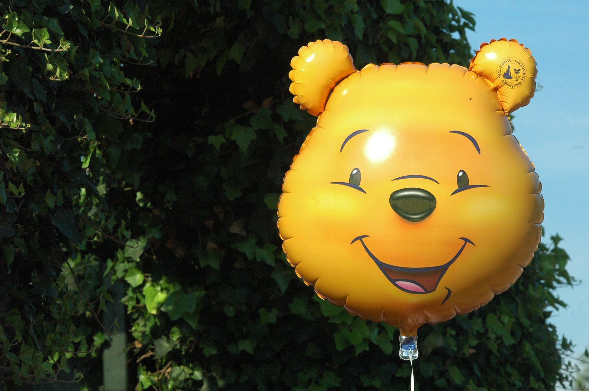 winnie the pooh balloon near green leaves