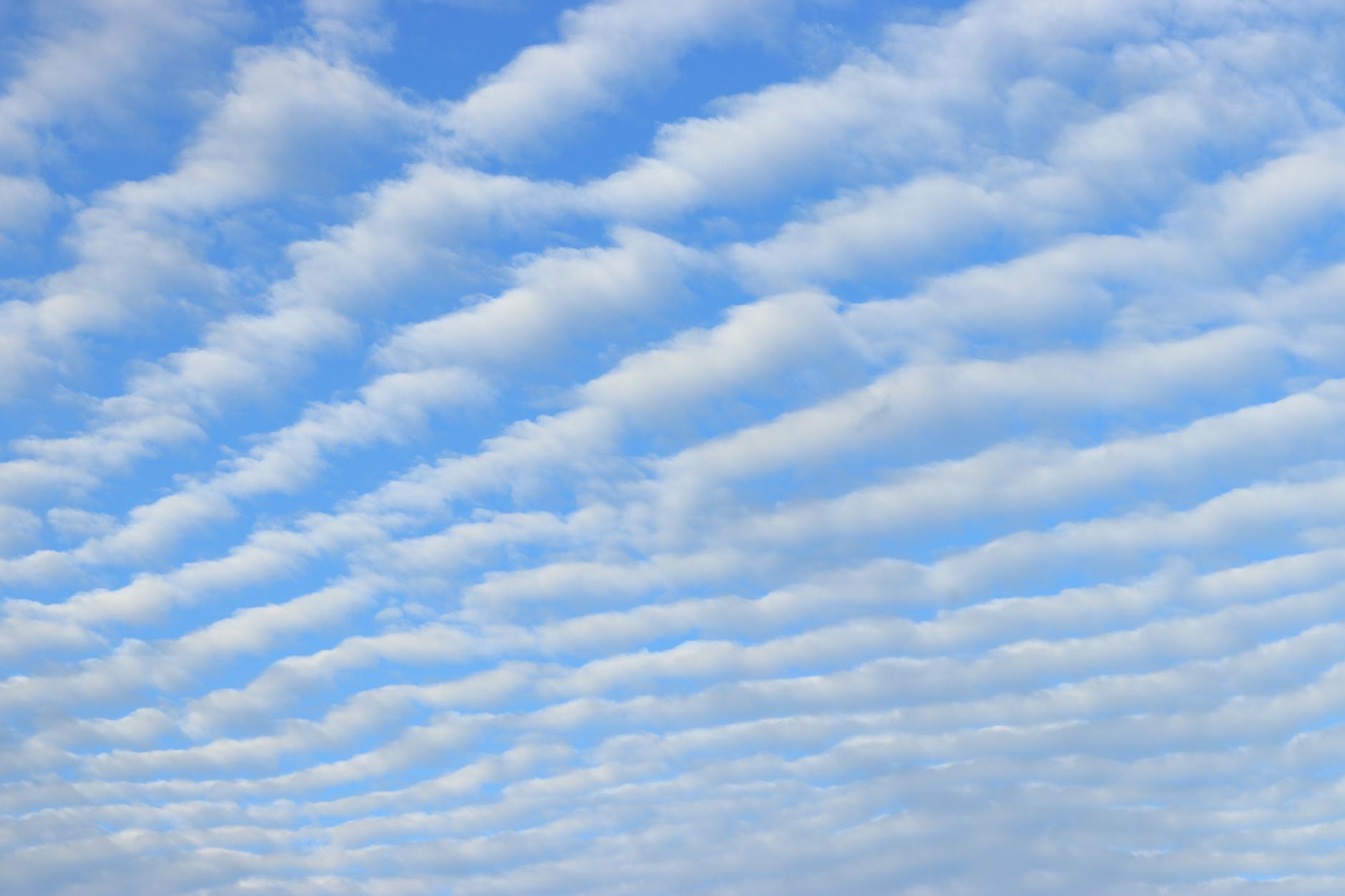 blue sky