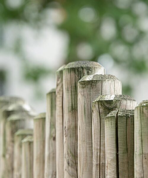 brown wooden fence in front